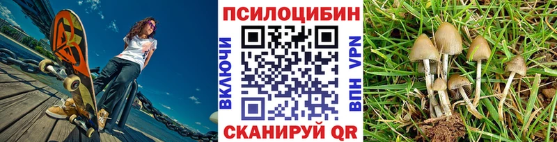 Псилоцибиновые грибы Cubensis  Купить  Долинск 